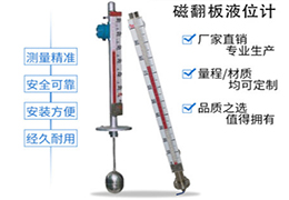 防腐式磁翻板液位計(jì)